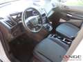 Ford Transit Connect 1.5 EcoBlue EU6d 1.5TDCi Trend Kasten lang DAB Not Weiß - thumbnail 11