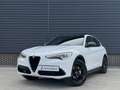 Alfa Romeo Stelvio 2.0 T AWD Special Edition 20 inch QV, Memory, deal Wit - thumbnail 5