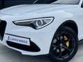 Alfa Romeo Stelvio 2.0 T AWD Special Edition 20 inch QV, Memory, deal Wit - thumbnail 40