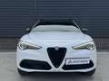 Alfa Romeo Stelvio 2.0 T AWD Special Edition 20 inch QV, Memory, deal Wit - thumbnail 10