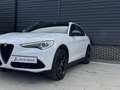 Alfa Romeo Stelvio 2.0 T AWD Special Edition 20 inch QV, Memory, deal Wit - thumbnail 37