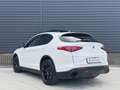 Alfa Romeo Stelvio 2.0 T AWD Special Edition 20 inch QV, Memory, deal Wit - thumbnail 3