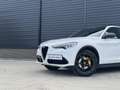 Alfa Romeo Stelvio 2.0 T AWD Special Edition 20 inch QV, Memory, deal Wit - thumbnail 38