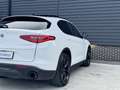 Alfa Romeo Stelvio 2.0 T AWD Special Edition 20 inch QV, Memory, deal Wit - thumbnail 43