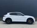 Alfa Romeo Stelvio 2.0 T AWD Special Edition 20 inch QV, Memory, deal Wit - thumbnail 50