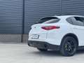 Alfa Romeo Stelvio 2.0 T AWD Special Edition 20 inch QV, Memory, deal Wit - thumbnail 44