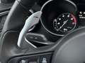 Alfa Romeo Stelvio 2.0 T AWD Special Edition 20 inch QV, Memory, deal Wit - thumbnail 17