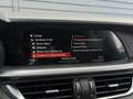Alfa Romeo Stelvio 2.0 T AWD Special Edition 20 inch QV, Memory, deal Wit - thumbnail 29