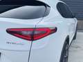 Alfa Romeo Stelvio 2.0 T AWD Special Edition 20 inch QV, Memory, deal Wit - thumbnail 47