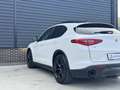 Alfa Romeo Stelvio 2.0 T AWD Special Edition 20 inch QV, Memory, deal Wit - thumbnail 48