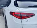 Alfa Romeo Stelvio 2.0 T AWD Special Edition 20 inch QV, Memory, deal Wit - thumbnail 49