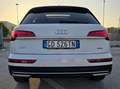 Audi Q5 Q5 40 2.0 tdi mhev 12V Business quattro s-tronic Blanc - thumbnail 5