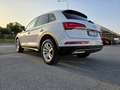 Audi Q5 Q5 40 2.0 tdi mhev 12V Business quattro s-tronic Blanc - thumbnail 2