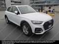 Audi Q5 Q5 40 2.0 tdi mhev 12V Business quattro s-tronic Bianco - thumbnail 1
