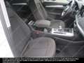 Audi Q5 Q5 40 2.0 tdi mhev 12V Business quattro s-tronic Bianco - thumbnail 4