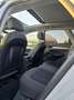 Audi Q5 Q5 40 2.0 tdi mhev 12V Business quattro s-tronic Blanc - thumbnail 14