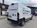 Fiat Ducato KASTENWAGEN N2 L3H2 110 KWH Alb - thumbnail 4