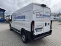 Fiat Ducato KASTENWAGEN N2 L3H2 110 KWH Alb - thumbnail 10