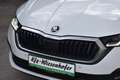 Skoda Octavia 2.0 TDI DSG Ambition / Anhängerkupplung / Service Weiß - thumbnail 13