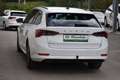 Skoda Octavia 2.0 TDI DSG Ambition / Anhängerkupplung / Service Weiß - thumbnail 5