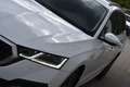 Skoda Octavia 2.0 TDI DSG Ambition / Anhängerkupplung / Service Weiß - thumbnail 14