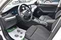 Skoda Octavia 2.0 TDI DSG Ambition / Anhängerkupplung / Service Weiß - thumbnail 26