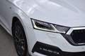 Skoda Octavia 2.0 TDI DSG Ambition / Anhängerkupplung / Service Weiß - thumbnail 12