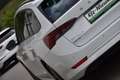 Skoda Octavia 2.0 TDI DSG Ambition / Anhängerkupplung / Service Weiß - thumbnail 6