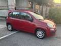 Fiat Panda 0.9 Panda classic Easy - thumbnail 3