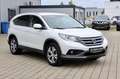 Honda CR-V 2.2 i-DTEC Executive#AWD#AHK#WINTERREIFEN Blanc - thumbnail 4