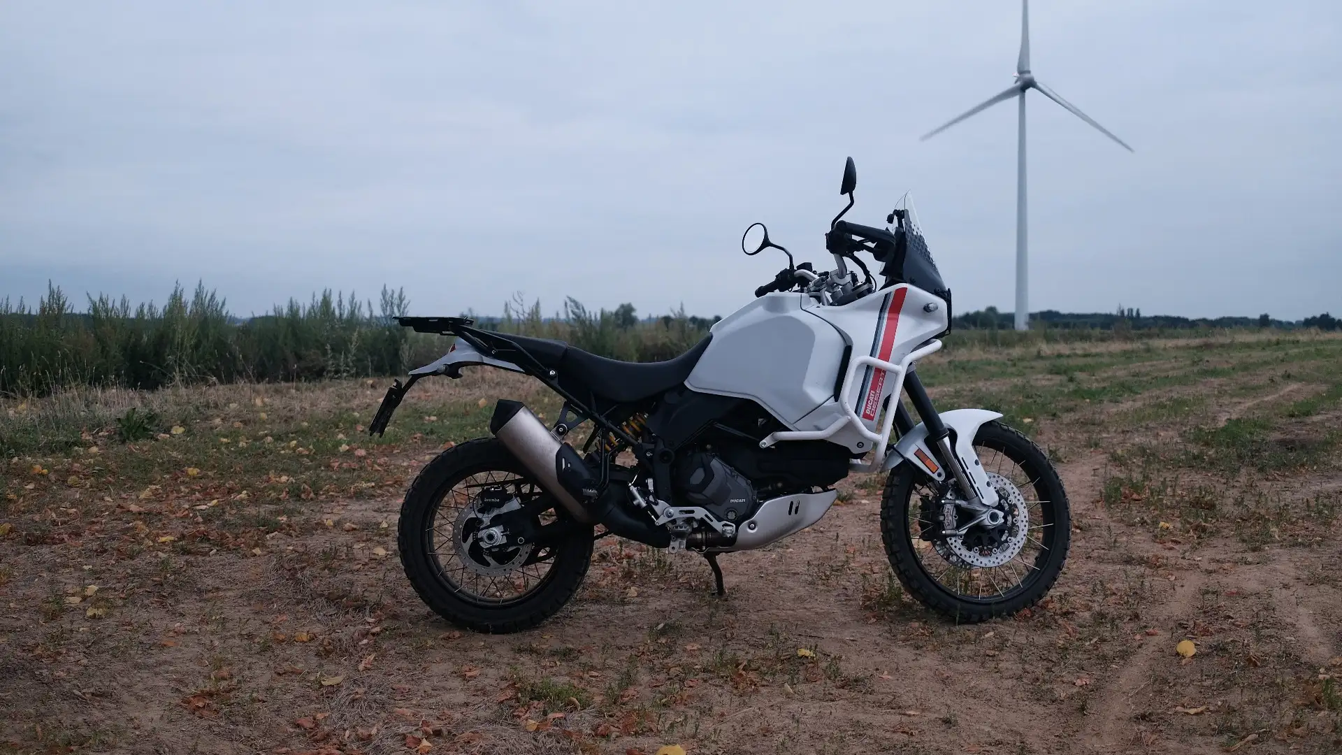 Ducati DesertX Weiß - 2