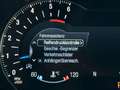 Ford Galaxy 2.0 TDCi Aut. AWD Titanium STANDH PANO ACC MEMORY Blau - thumbnail 23