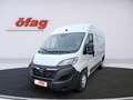 Opel Movano L2H2 BlueHDi 140 3.5 ***AKTION *** Weiß - thumbnail 3