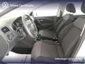 Volkswagen Polo 5p 1.4 tdi comfortline 75cv Bianco - thumbnail 12