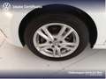 Volkswagen Polo 5p 1.4 tdi comfortline 75cv Bianco - thumbnail 15