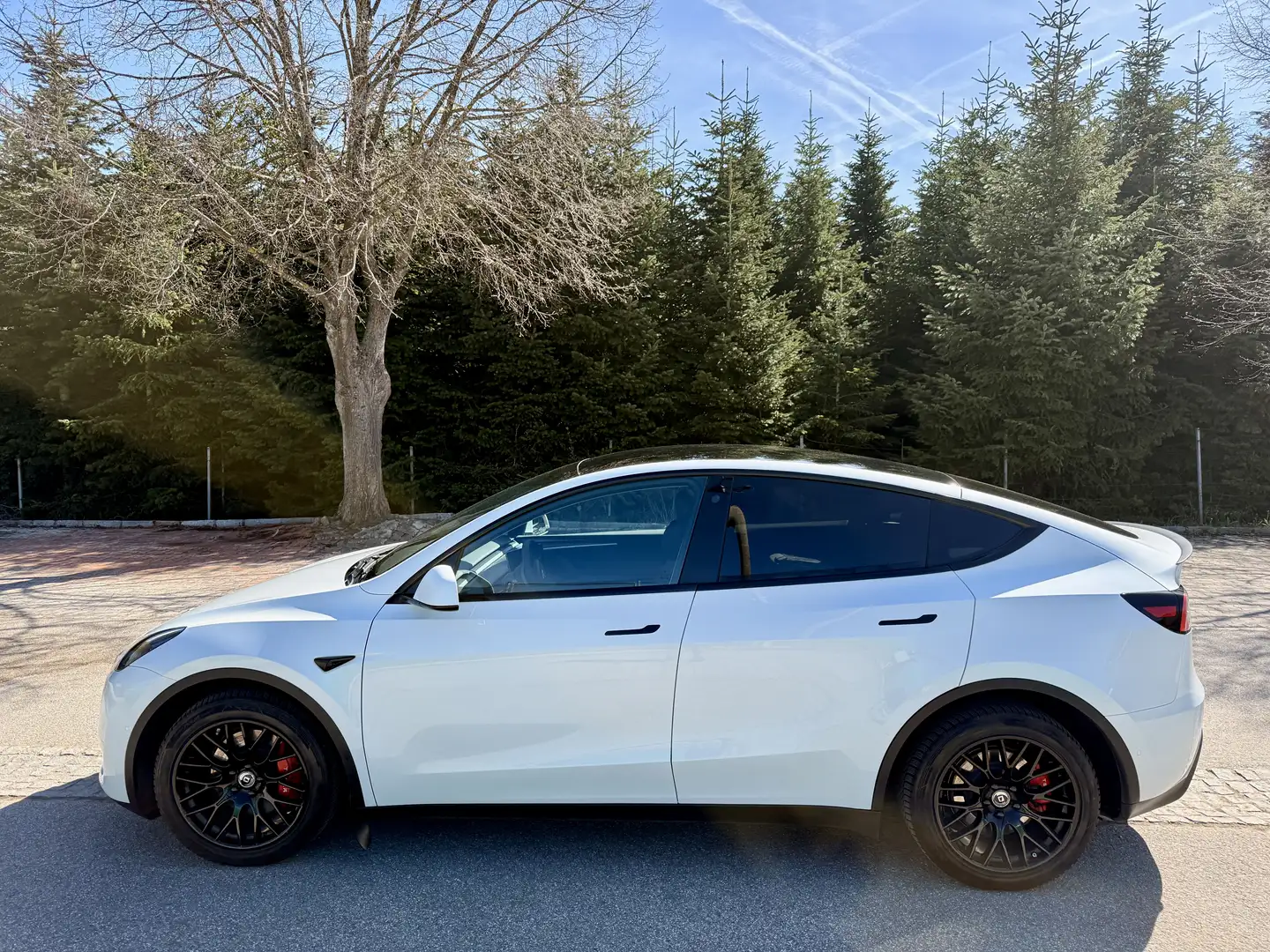 Tesla Model Y AWD 79kWh Weiß - 1