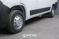 Peugeot Boxer 333 2.2 BlueHDI 140CV Premium L2H2 IVA ESCLUSA Bianco - thumbnail 4