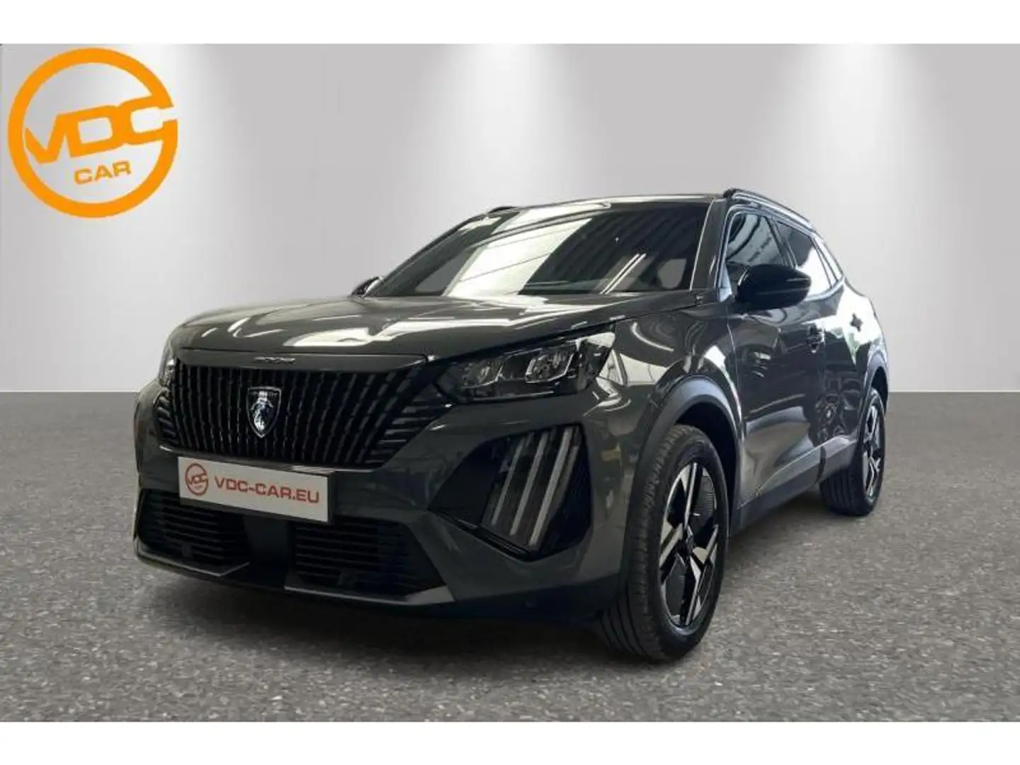 Peugeot 2008 Серый - 1