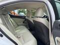 Lexus IS 250 Adaptieve Cruise Controle Mark Levinson Weiß - thumbnail 19