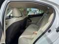 Lexus IS 250 Adaptieve Cruise Controle Mark Levinson Weiß - thumbnail 23