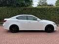 Lexus IS 250 Adaptieve Cruise Controle Mark Levinson Weiß - thumbnail 27