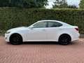 Lexus IS 250 Adaptieve Cruise Controle Mark Levinson Weiß - thumbnail 20