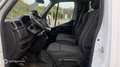 Renault Master RJ3500 L2 Porte à faux court 2.3 Blue dCi 130ch EuroVI - thumbnail 12