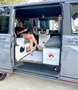 Volkswagen T6 California California Style Camper Küche Bett Top Grau - thumbnail 9
