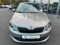 Skoda Fabia 1,4TDi Joy Navi SHZ 2xPDC Alu Beige - thumbnail 2