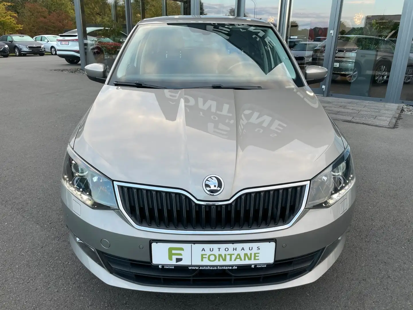 Skoda Fabia 1,4TDi Joy Navi SHZ 2xPDC Alu Beige - 2