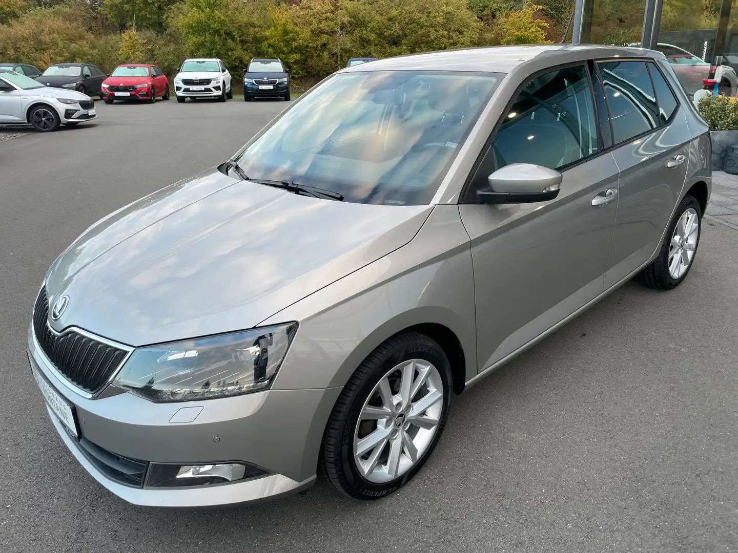 Skoda Fabia 1,4TDi Joy Navi SHZ 2xPDC Alu Beige - 1