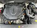 Hyundai SANTA FE 2.2 CRDi, Prime 4WD Autom. Leder, AHK, Navi, Sitzh Weiß - thumbnail 12
