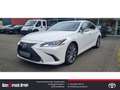 Lexus ES 300 300h EU6d Style Edition Standheizung LED-Hauptsche Weiß - thumbnail 1