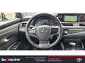 Lexus ES 300 300h EU6d Style Edition Standheizung LED-Hauptsche Weiß - thumbnail 11